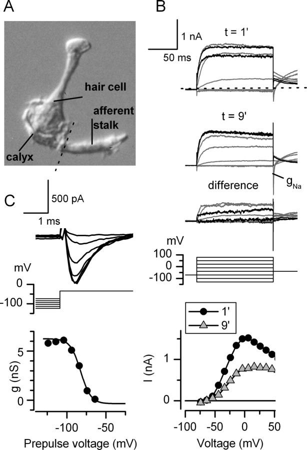 Figure 15.