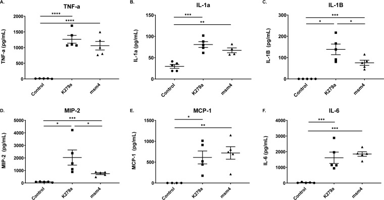 FIG 2