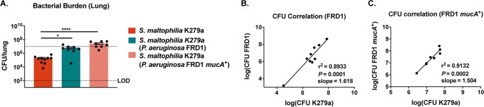 FIG 8