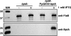 FIG. 6.