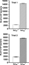FIG. 2.