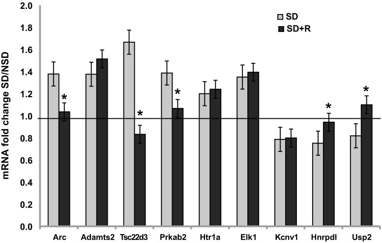 Fig. 6.