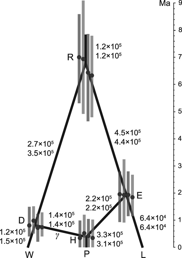 Fig. 7.