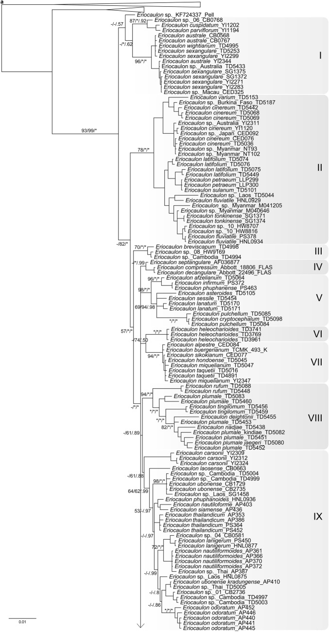 Fig. 2