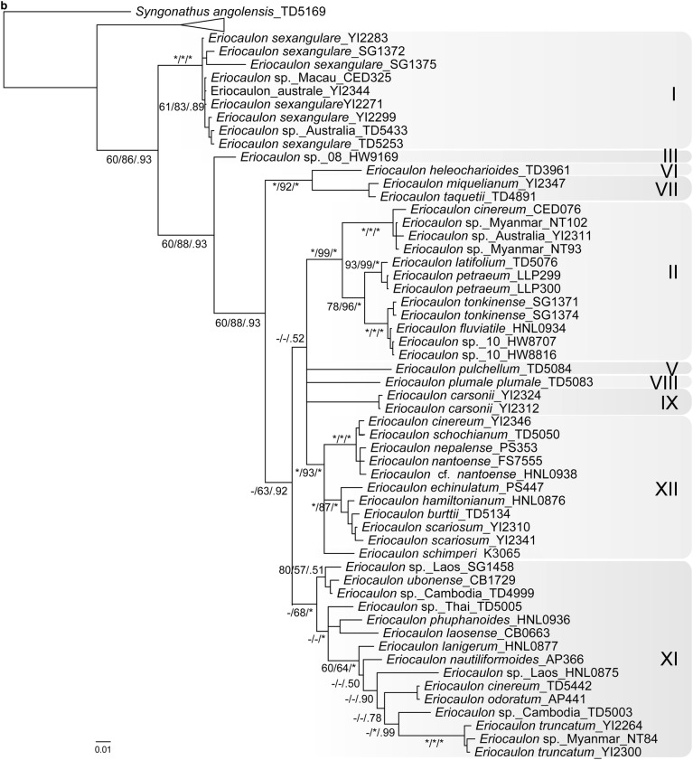 Fig. 2