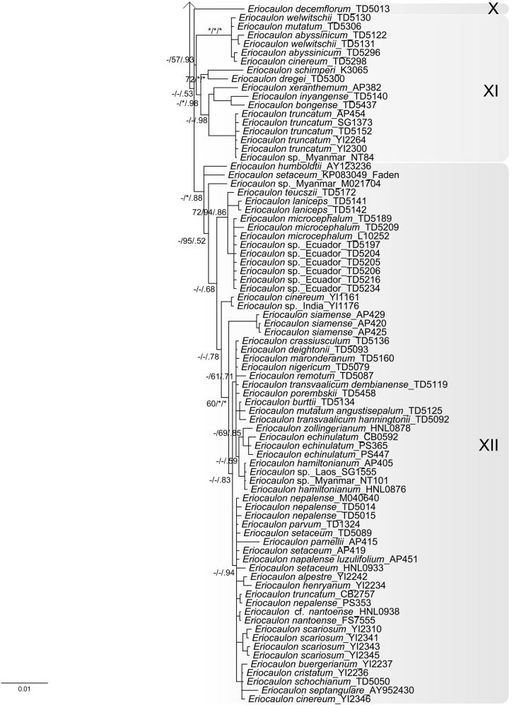 Fig. 2