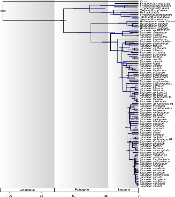 Fig. 3