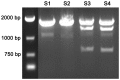 Figure 2.
