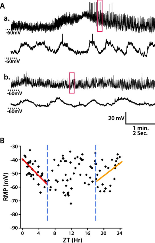 Figure 7.