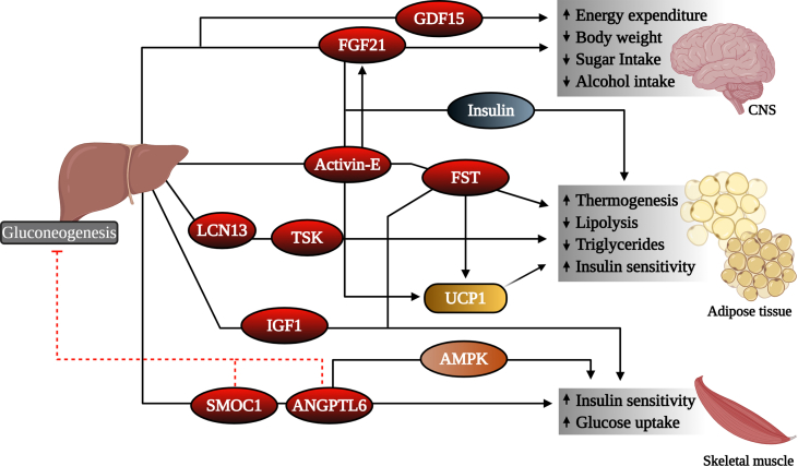 Figure 2