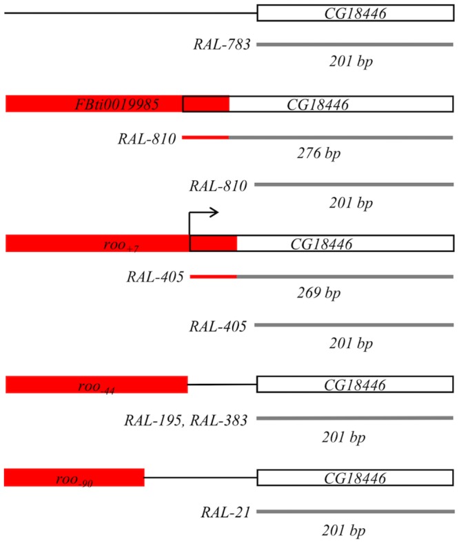 Fig 5