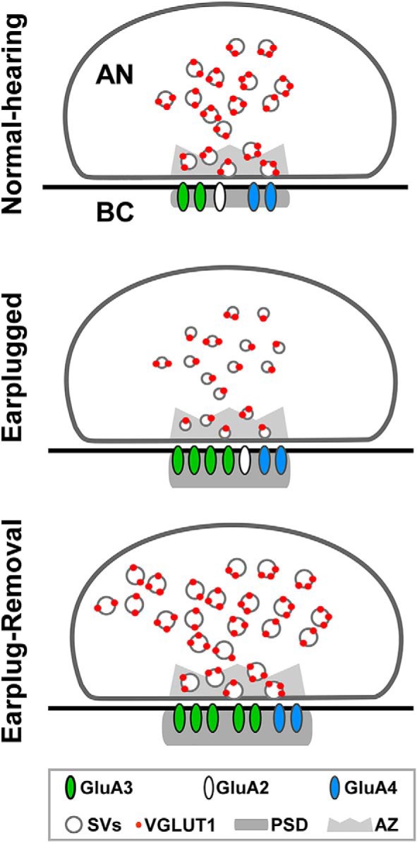 Figure 7.