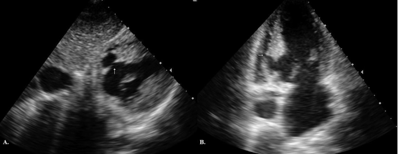 Fig. 6