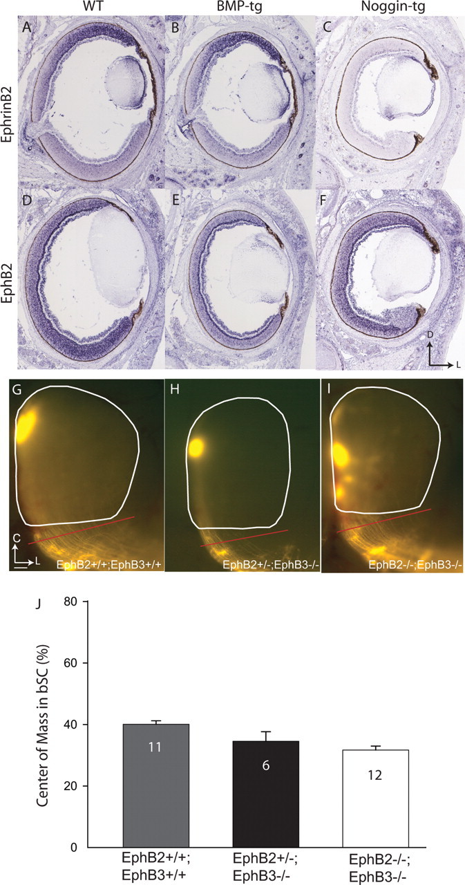 Figure 9.