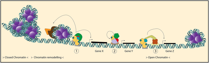Fig. 3
