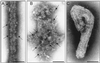 FIG. 8.