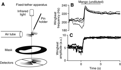 Fig. 1.