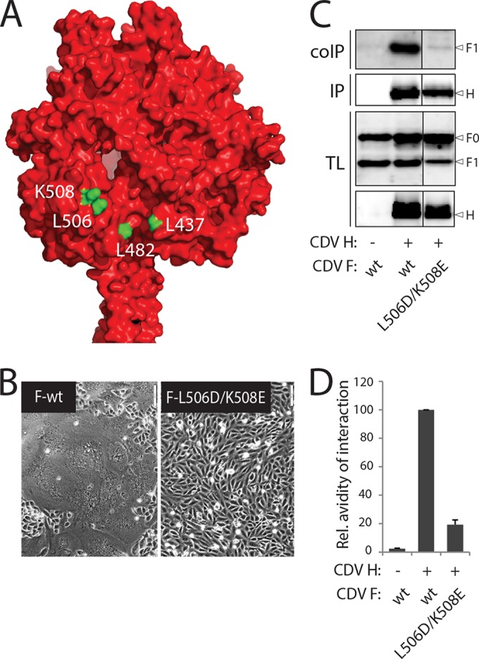 FIG 3