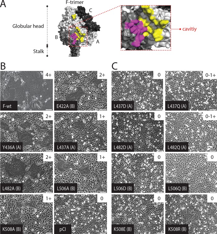 FIG 1