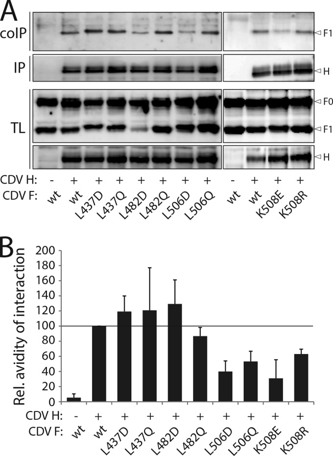 FIG 2