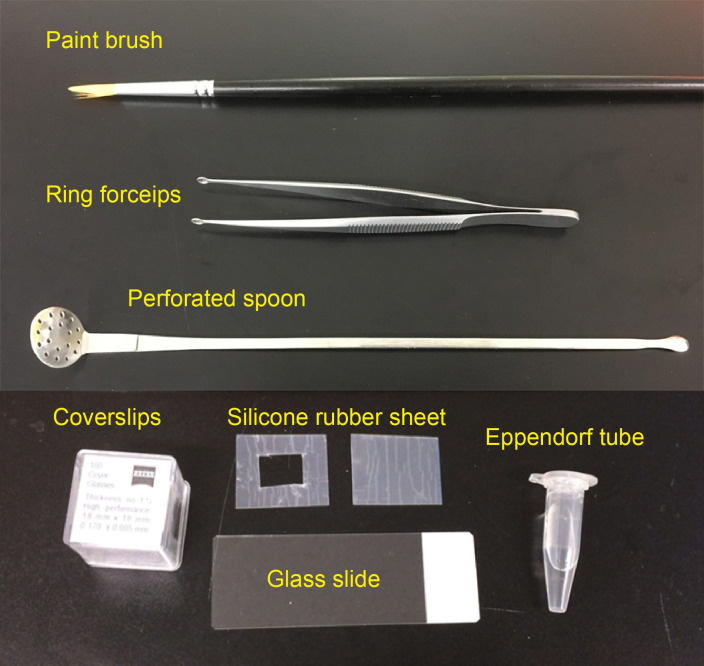 Figure 1.