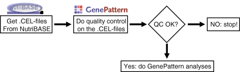 Fig. 1