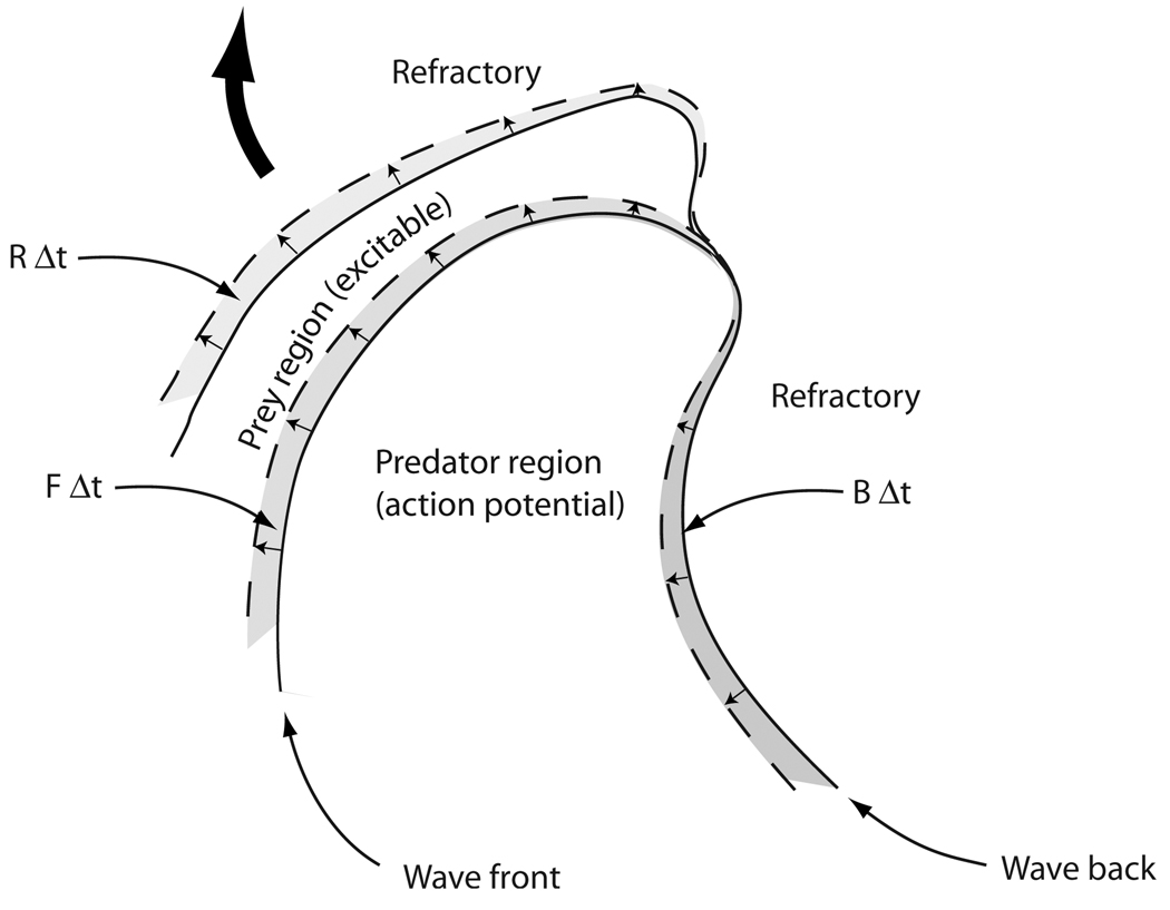 FIG. 13