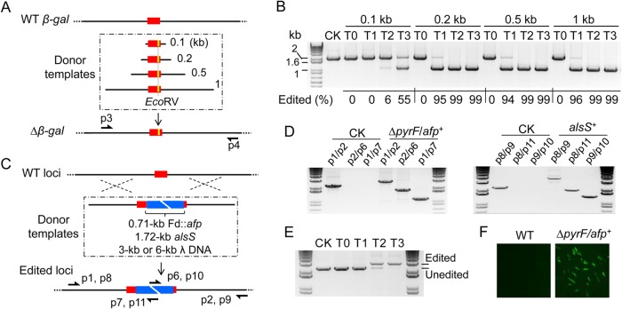 FIG 3