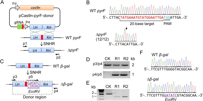 FIG 2