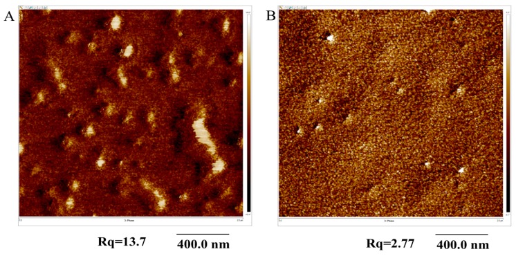 Figure 6