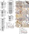 Extended Data Fig. 5