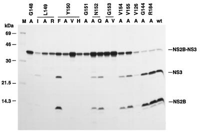 FIG. 7