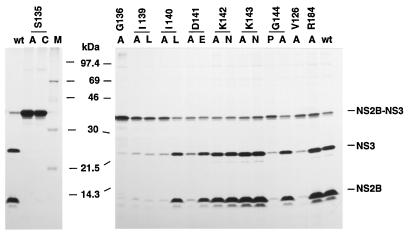FIG. 6