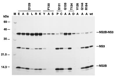 FIG. 5
