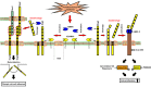 FIGURE 6: