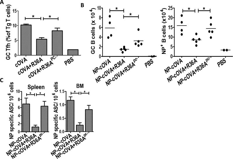 Fig.2