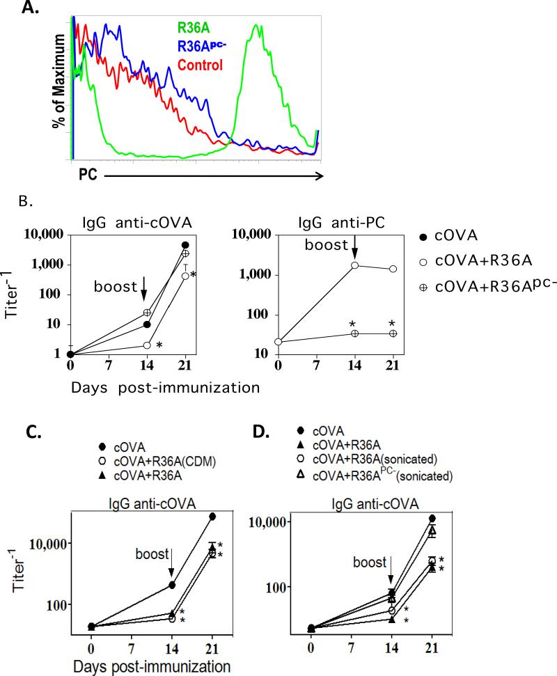 Fig.1