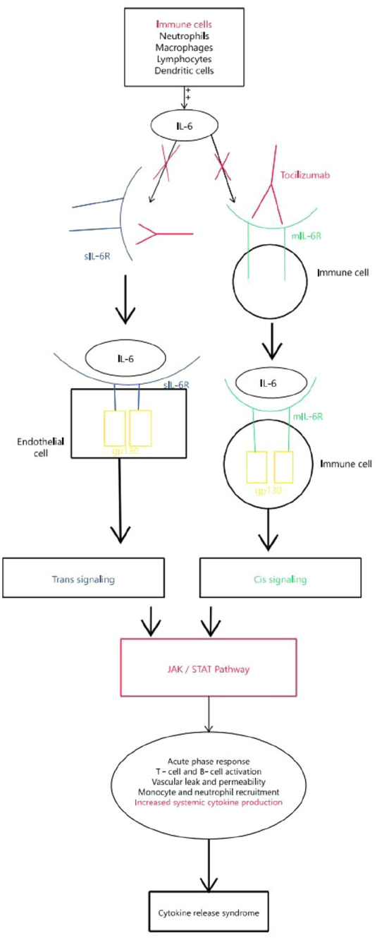 Figure 7.