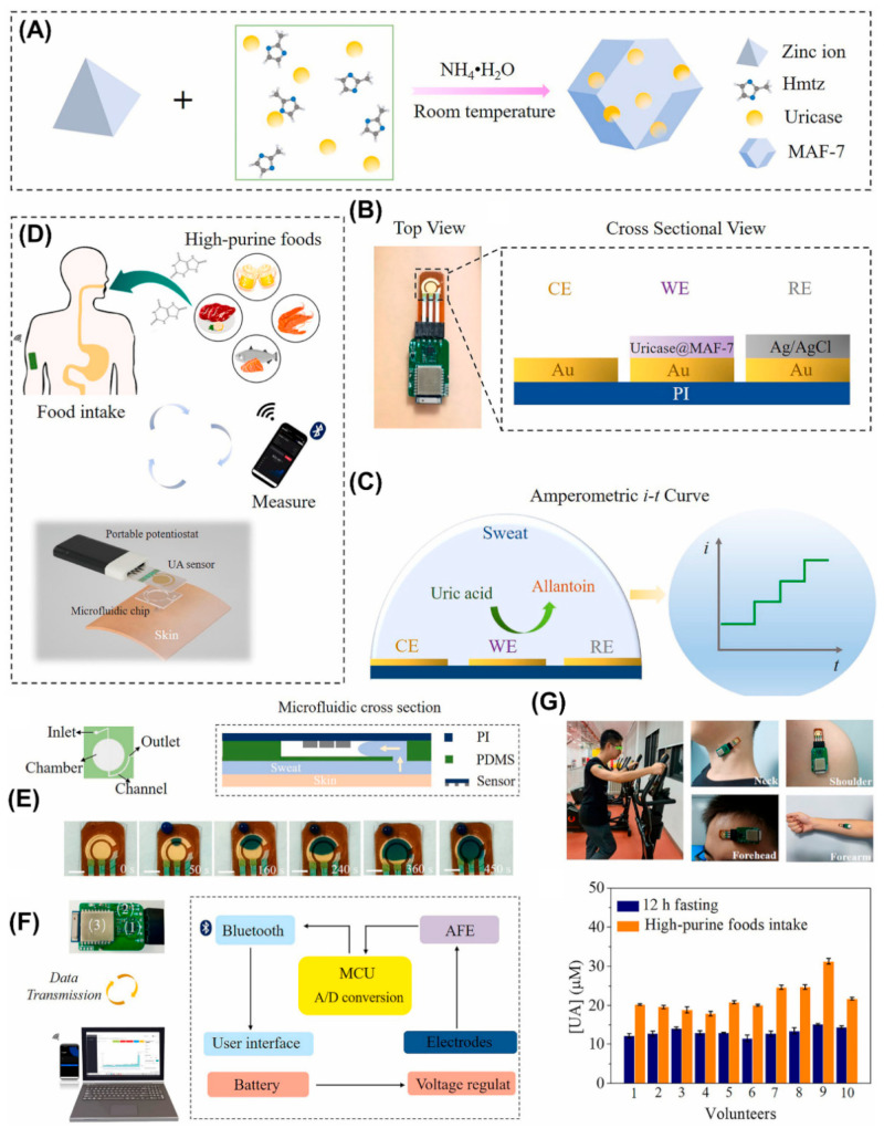 Figure 11