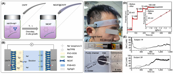 Figure 10