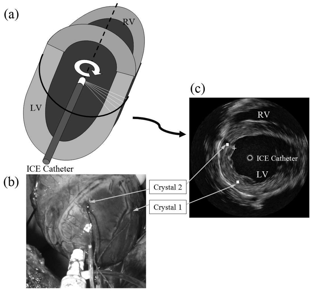 Fig. 5