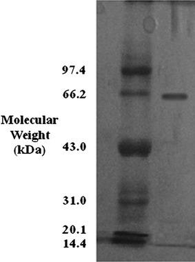 Fig. 2