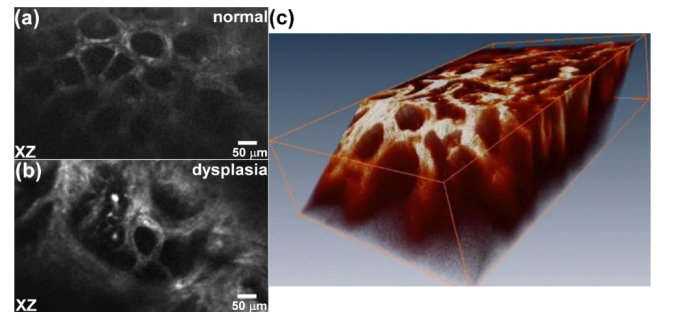 Fig. 13