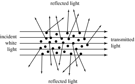 Figure 28