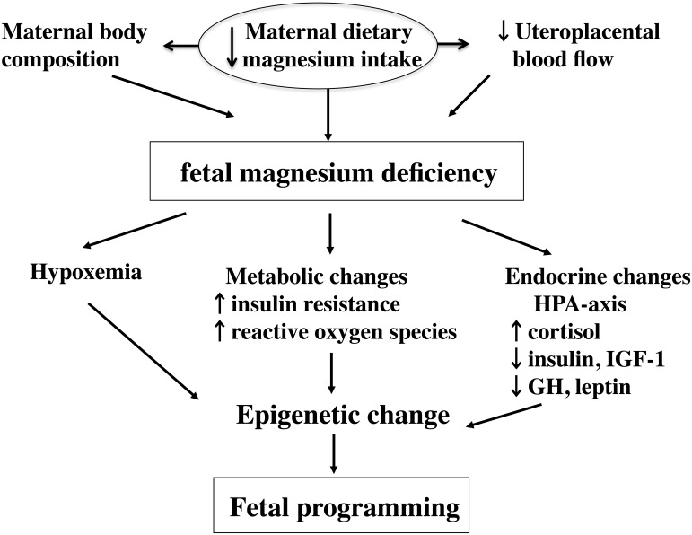 Figure 5.