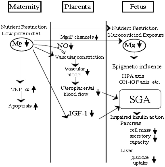 Figure 1.