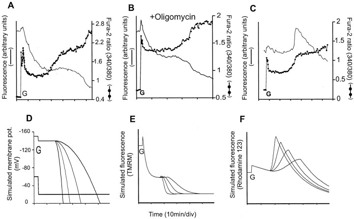 Fig. 8.