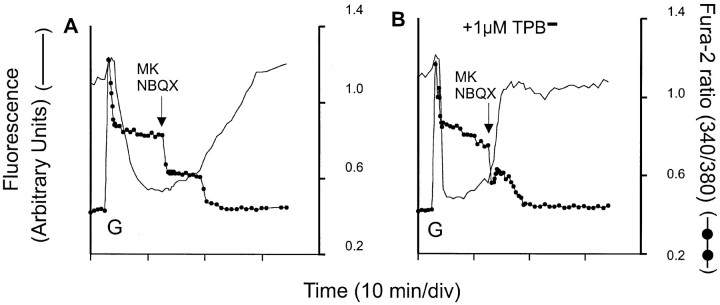 Fig. 10.