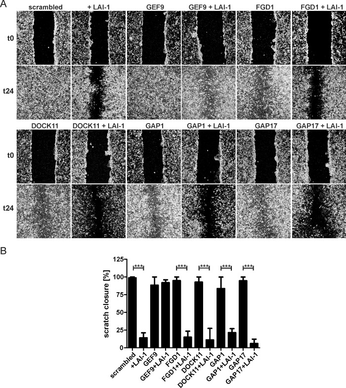 Fig 6