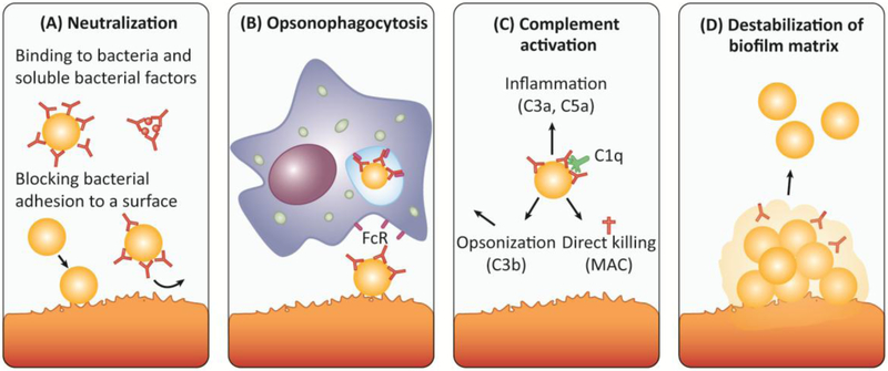 Figure 2: